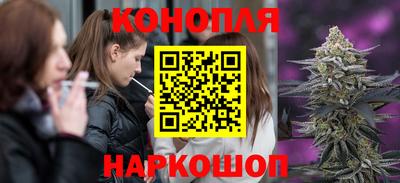 винт Донецк