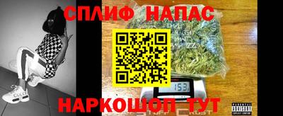 гидра Гусь-Хрустальный
