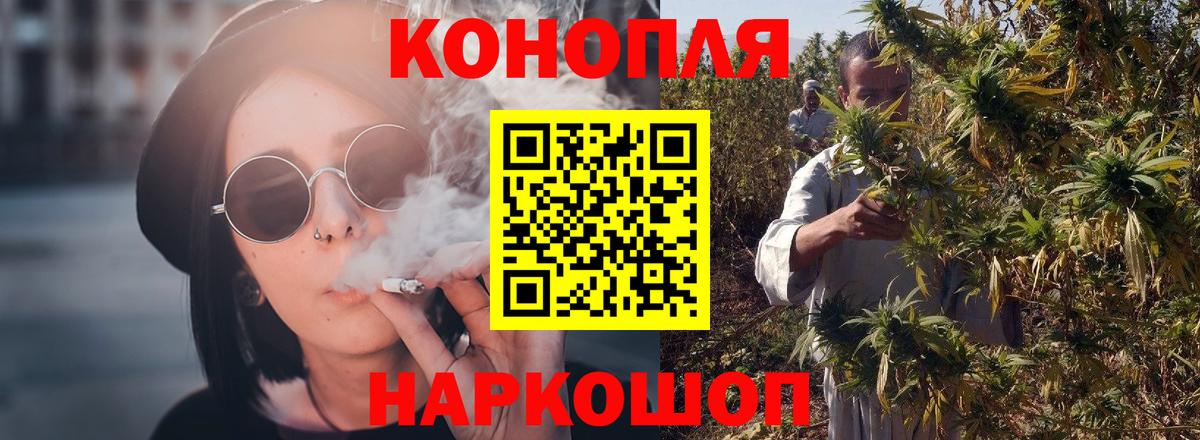 Каннабис сатива Озёры